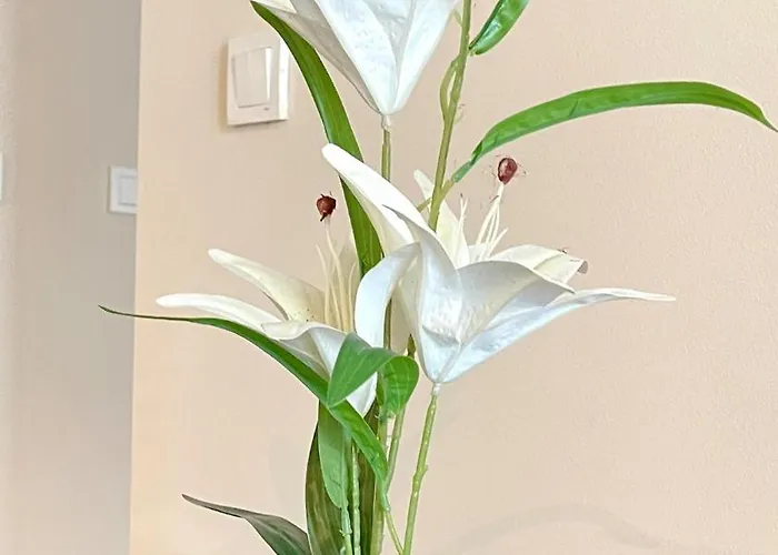 Diamond Urban Comfort Centre Apartament